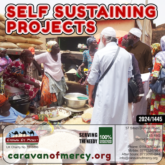 self sustaining projects