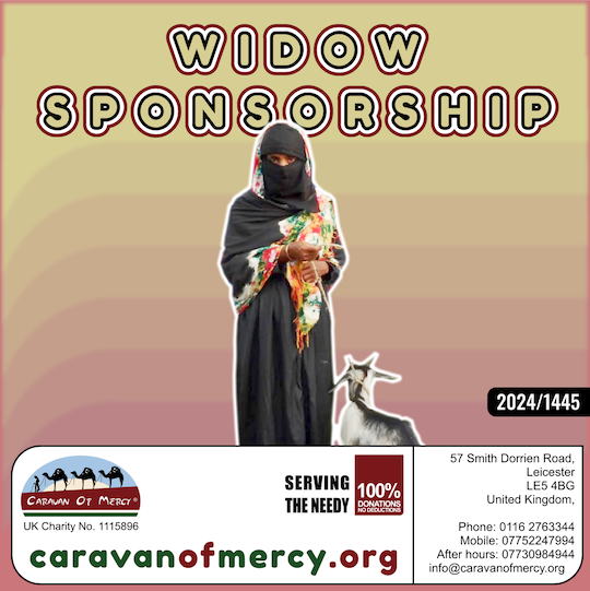 widow sponsorship